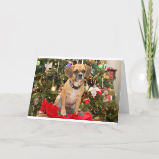 Puggle Feestdagen Kaart