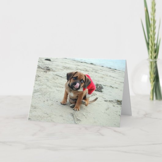 Puggle! feestdagenkaart feestdagen kaart (Voorkant)