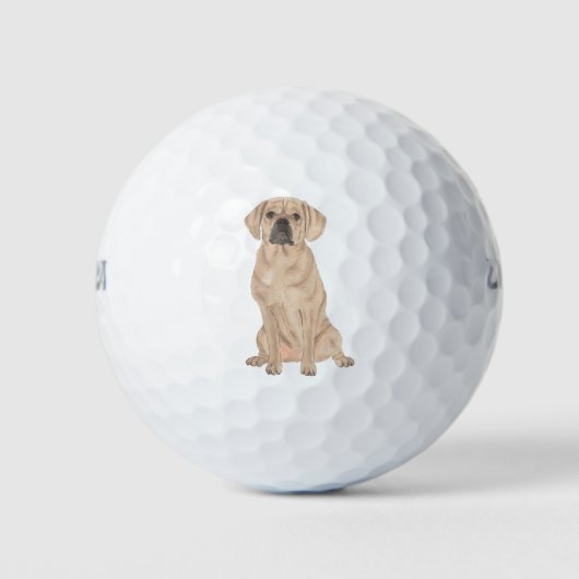 puggle golfballen (Voorkant)