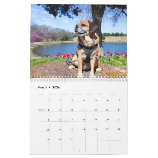 Puggle kalender 2021 (Mar 2026)