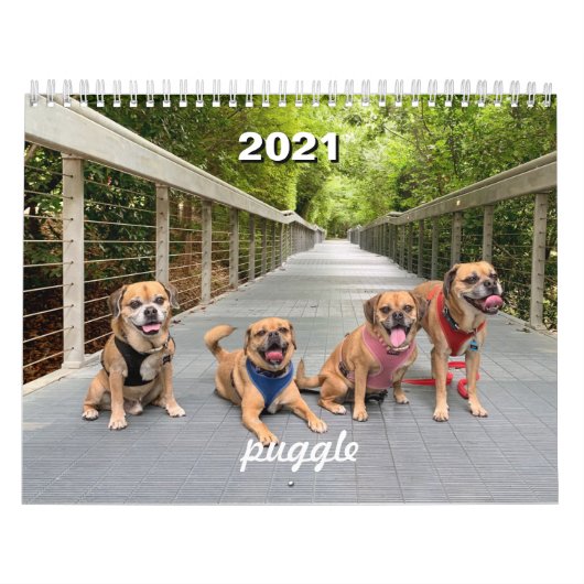 Puggle kalender 2021 (Hoes)