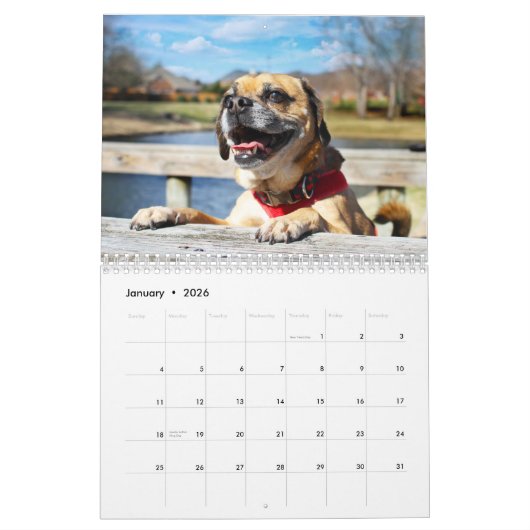 Puggle kalender 2021 (Jan 2026)