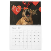 Puggle kalender 2021 (Feb 2027)
