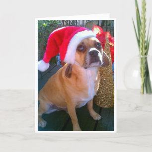 Puggle! Kerstkaart Feestdagen Kaart