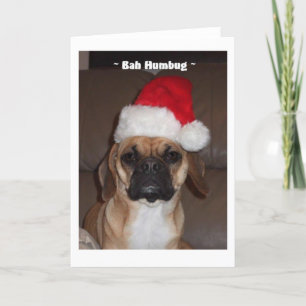 Puggle! Kerstkaart Feestdagen Kaart