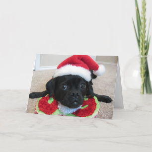 Puggle! Kerstkaart Feestdagen Kaart