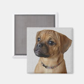 Puggle liefhebbers cadeaus magneet (Voorkant / Achterkant)