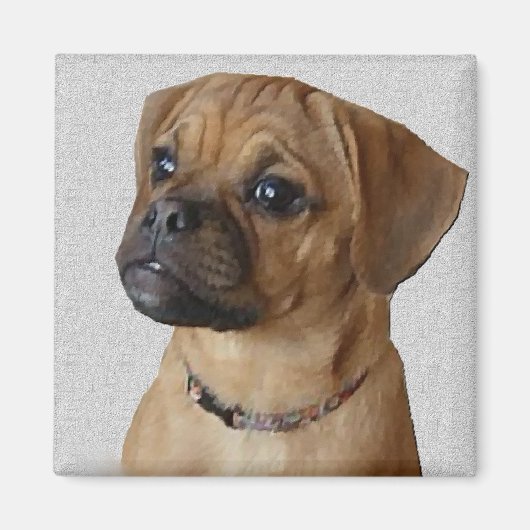 Puggle liefhebbers cadeaus magneet (Voorkant)