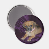 Puggle Love Magneet (Voorkant / Achterkant)