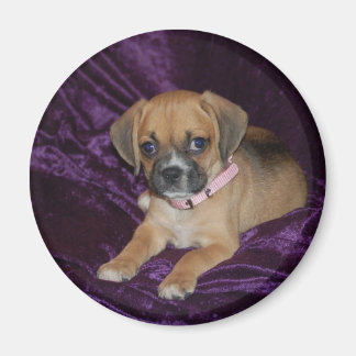 Puggle Love Magneet