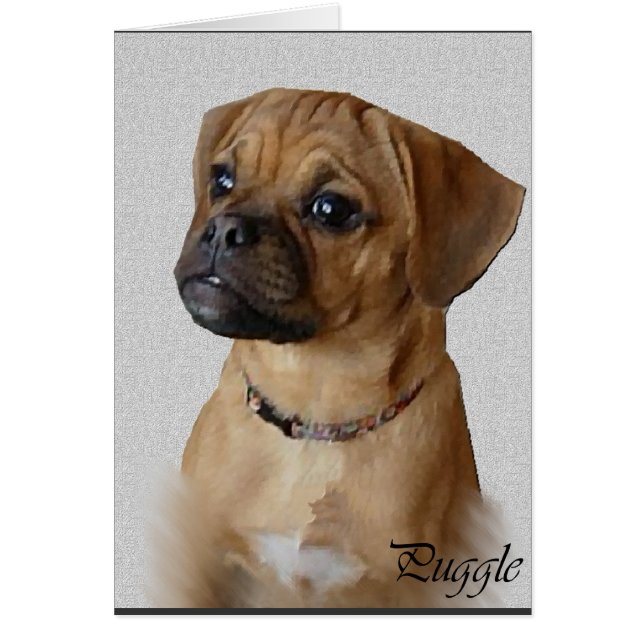 Puggle Lovers Gifts (Voorkant)