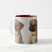 Puggle Lovers Gifts Tweekleurige Koffiemok (Voorkant links)