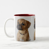 Puggle Lovers Gifts Tweekleurige Koffiemok (Links)