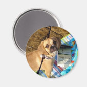 puggle magneet (Voorkant / Achterkant)