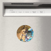 puggle magneet (Insitu (Vaatwasser))