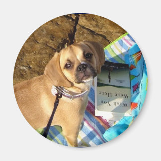 puggle magneet