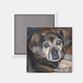 Puggle Magnet (Voorkant / Achterkant)