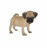 Puggle Magnet Fotobeeldje Magneet<br><div class="desc">Een magneet voor je koelkast.</div>