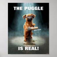 Puggle Mic Drop