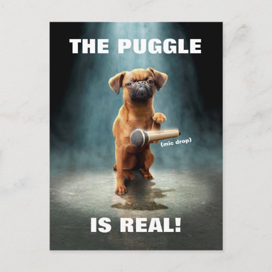 Puggle Mic Drop Uitnodiging Briefkaart (Voorkant)