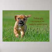Puggle Op De Loop Poster (Voorkant)