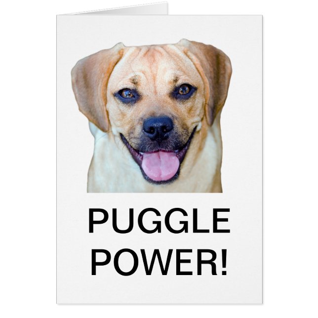 Puggle Power! (Voorkant)