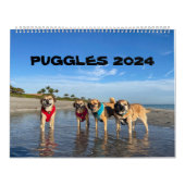 PUGGLES 2024 KALENDER (Hoes)