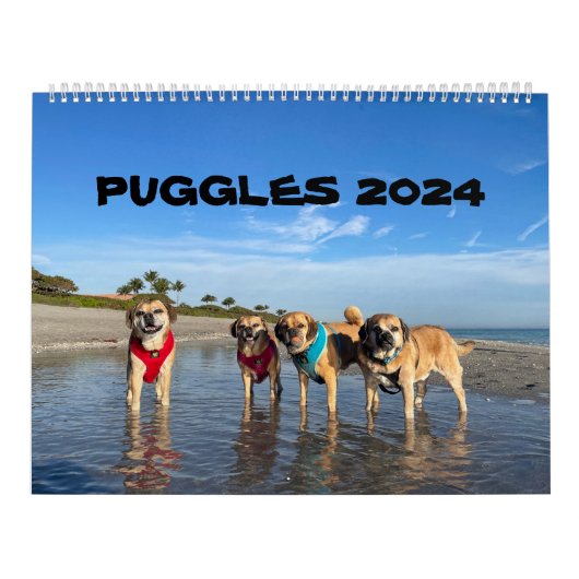 PUGGLES 2024 KALENDER (Hoes)