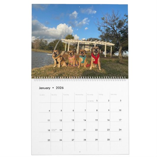 PUGGLES 2024 KALENDER (Jan 2026)