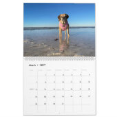 PUGGLES 2024 KALENDER (Mar 2027)