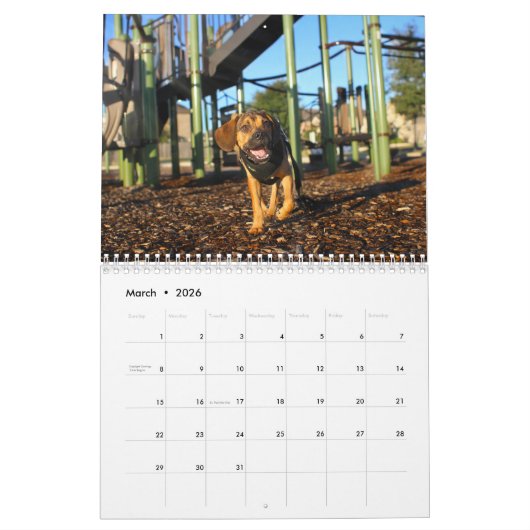 Puggles 2025 kalender (Mar 2026)