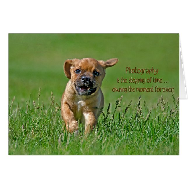 Pugle Pup (Voorkant Horizontaal)