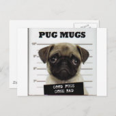 Pugs Briefkaart (Voorkant / Achterkant)