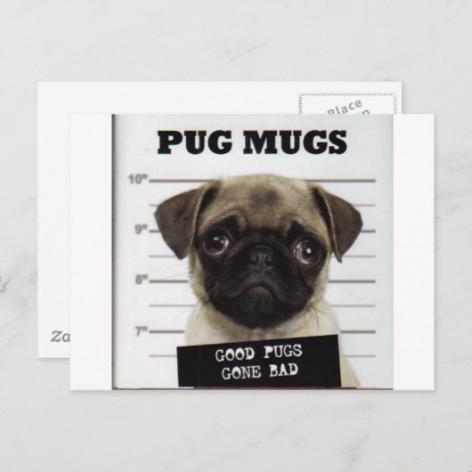 Pugs Briefkaart (Voorkant / Achterkant)