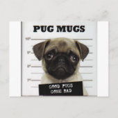 Pugs Briefkaart (Voorkant)