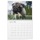 Pugs Calendar 2023 Kalender (Jan 2026)