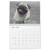 Pugs Calendar 2023 Kalender (Mar 2027)