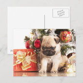 Pugs en kerstcadeaus feestdagenkaart (Voorkant / Achterkant)
