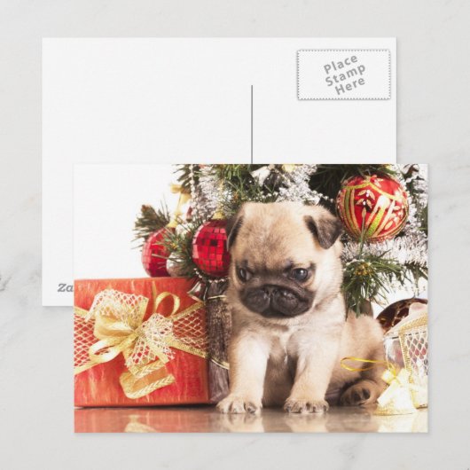 Pugs en kerstcadeaus feestdagenkaart (Voorkant / Achterkant)