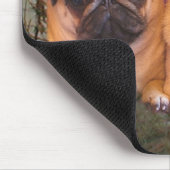 Pugs en Kisses Mousepad Muismat (Hoek)