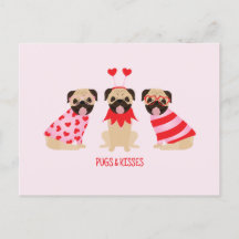 Pugs en kussen Schattige Pug Dogs