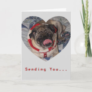Pugs en van Kussen de Kaart van de Valentijnsdag