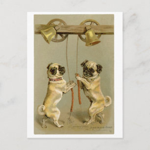 Pugs het Briefkaart van het Nieuwjaar/Kerstmis