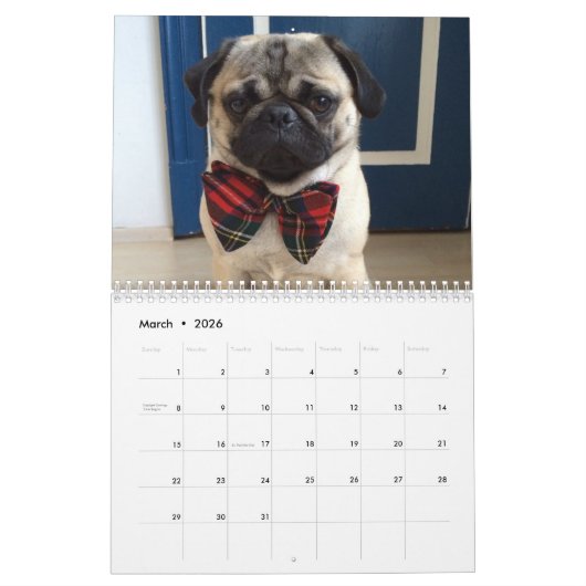 Pugs Kalender (Mar 2026)