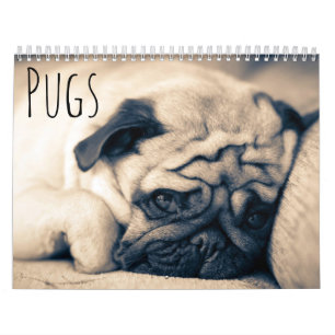 Pugs Kalender