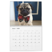 Pugs Kalender (Mar 2027)