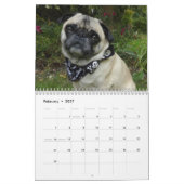 Pugs Kalender (Feb 2027)