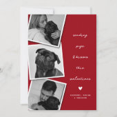 Pugs & Kisses Fotocollage Valentijns Feestdagenkaart (Voorkant)