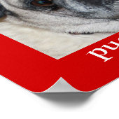 Pugs & Kisses Poster (Hoek)