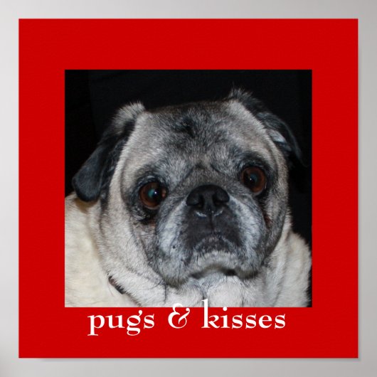 Pugs & Kisses Poster (Voorkant)